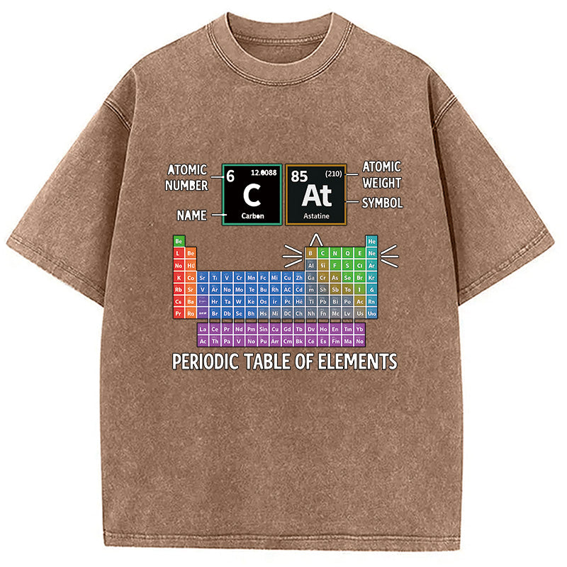 bbb Cat Periodic Table Chemistry Washed T-Shirt