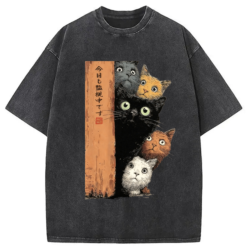 bbb Cats Are Watching You Washed T-Shirt