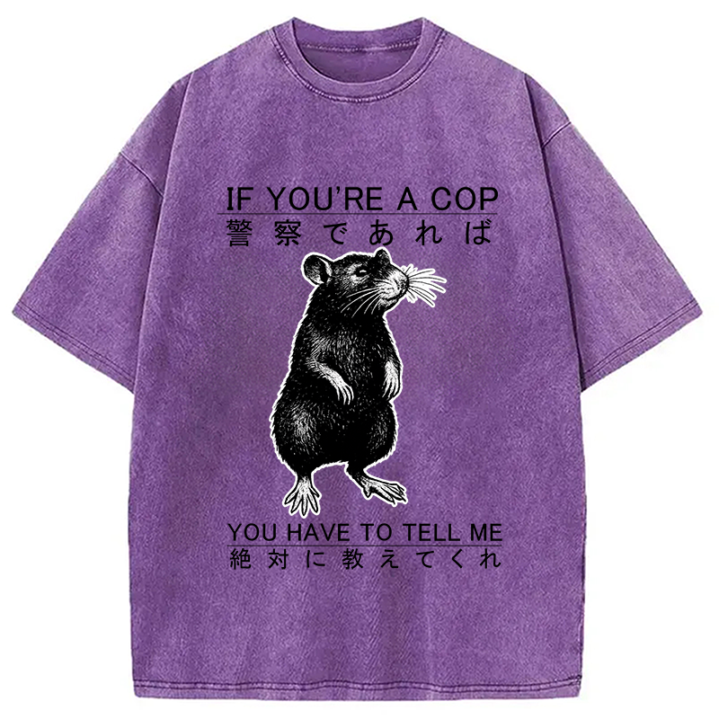 bbb If You're A Cop Japanese Rat Washed T-Shirt