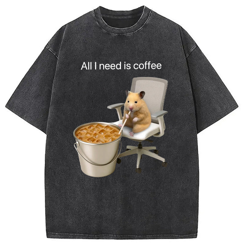 bbb All I Need Is Coffee Meme Washed T-Shirt