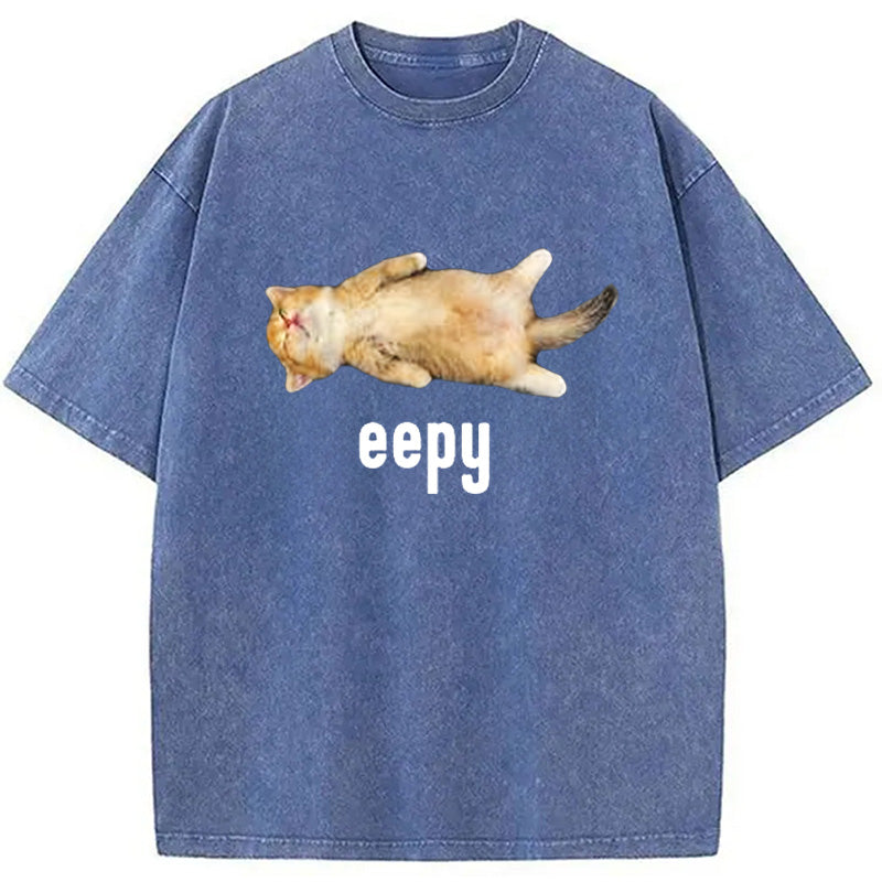bbb Silly Sleepy Cat Meme Washed T-Shirt