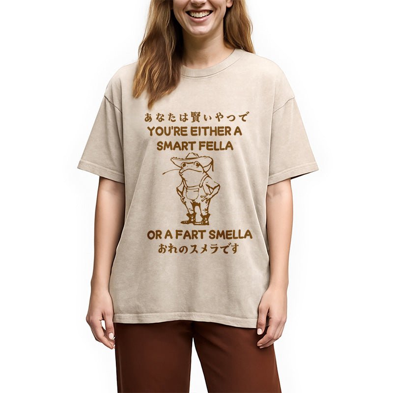 bbb Are You A Smart Fella Or Fart Smella Washed T-Shirt