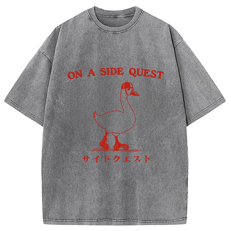 bbb On a Side Quest Goose Washed T-Shirt