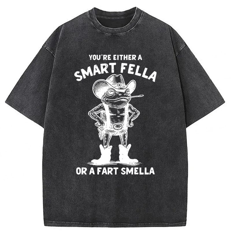 bbb Smart Fella Or Fart Smella Retro Cartoon Frog Washed T-shirt