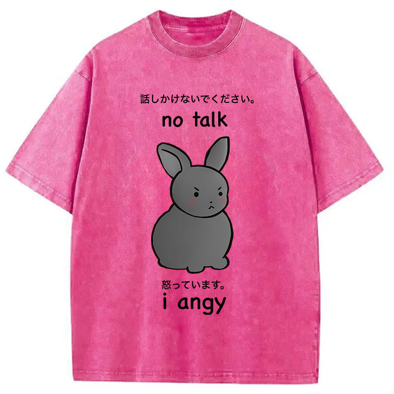 bbb No Talk I Angy Washed T-Shirt