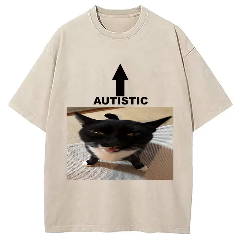 bbb Autistic Cat Washed T-Shirt