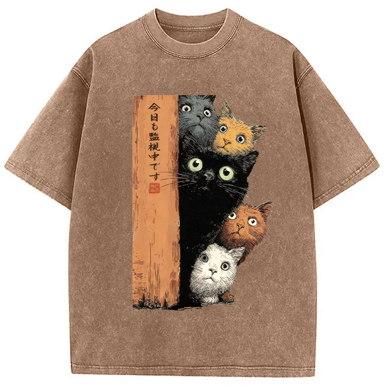 bbb Cats Are Watching You Washed T-Shirt