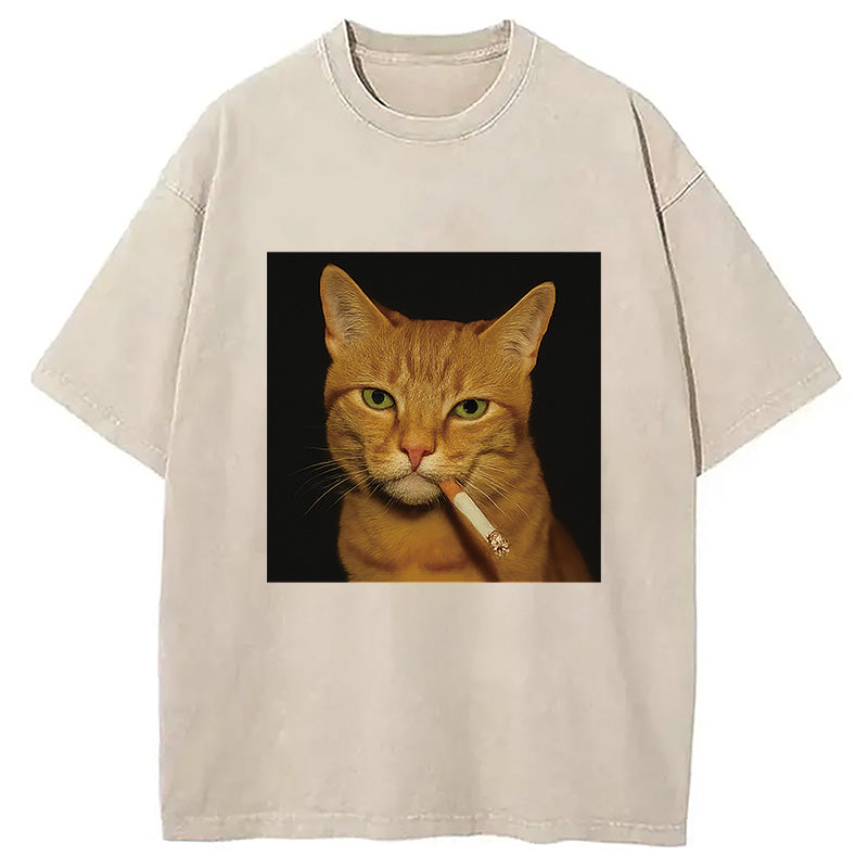 bbb Funny Orange Cat Smoking Meme Washed T-Shirt