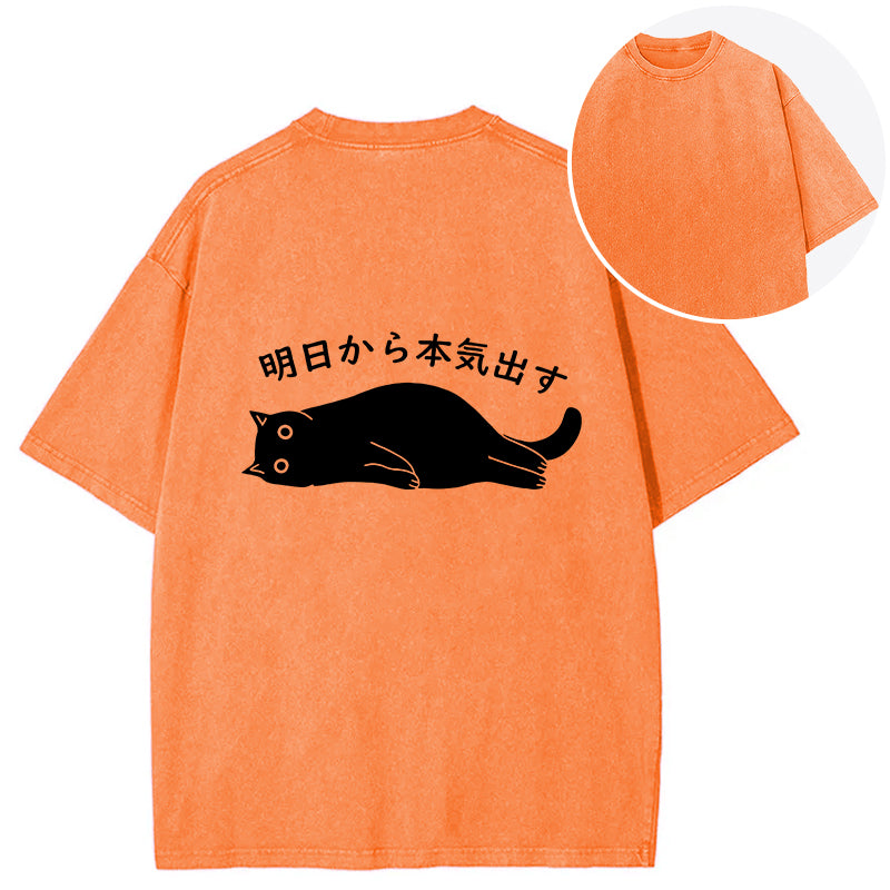 bbb I'm Going To Get Serious Tomorrow Back Washed T-Shirt
