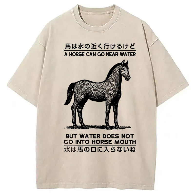 bbb Funny Horse And Water Saying Washed T-Shirt