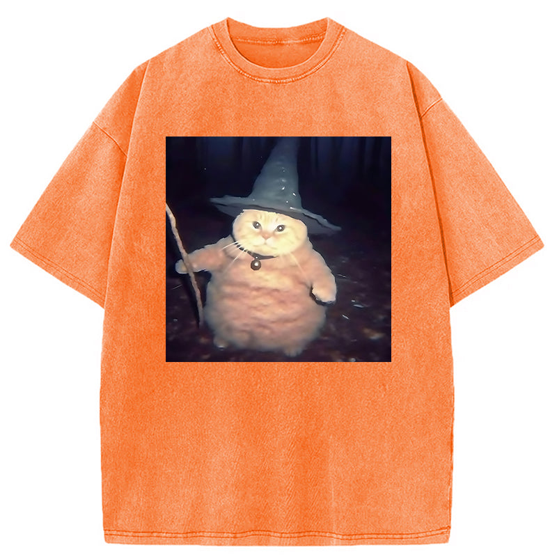 bbb Wizard Cat Funny Halloween Washed T-Shirt