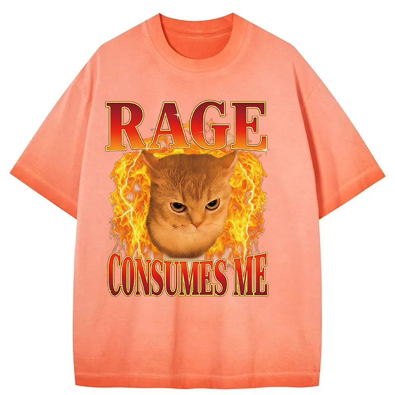 bbb Rage Consumes Me Edgy Funny Cat Meme Gradient Washed T-Shirt