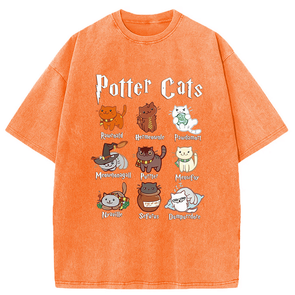 bbb Wizard Cats Washed T-Shirt
