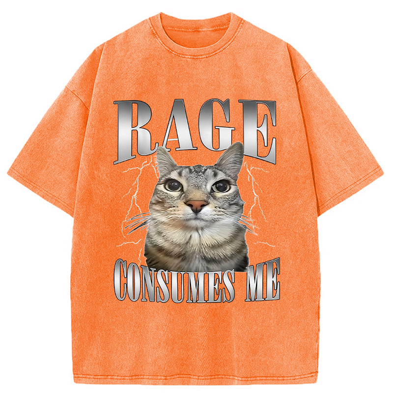 bbb Rage Consumes Me Funny Cat Washed T-Shirt