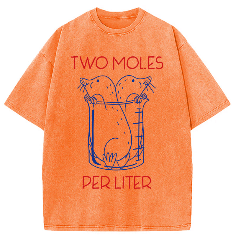bbb Two Moles Per Liter Washed T-Shirt
