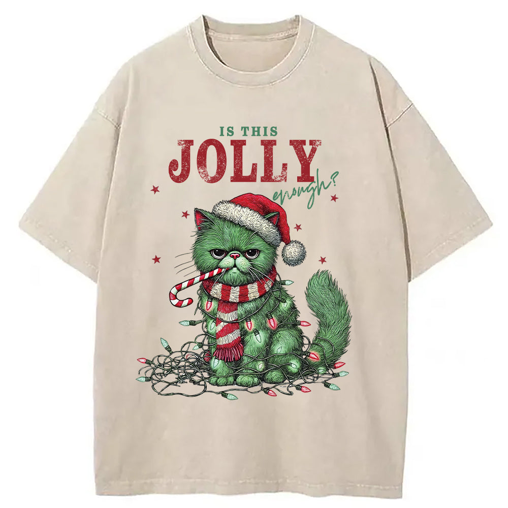 bbb Christmas Gift Washed T-Shirt