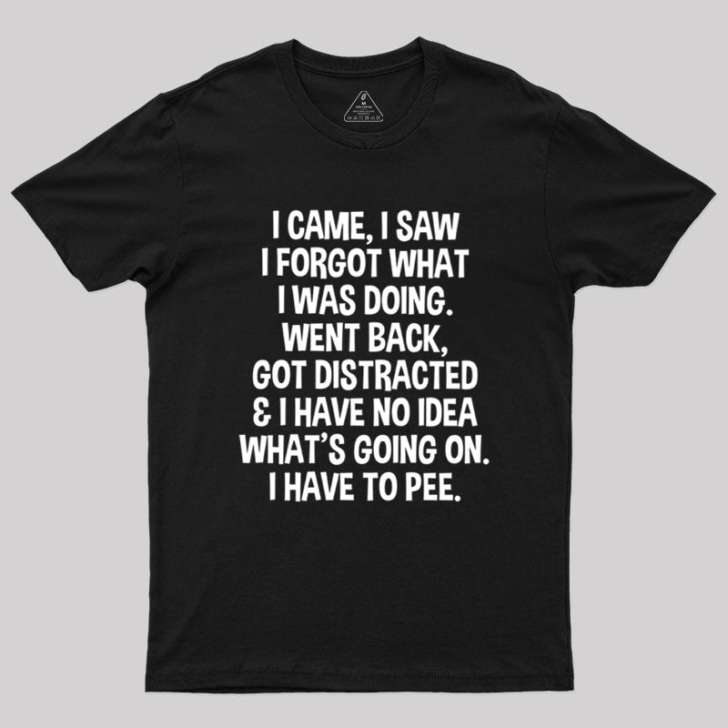 I Came I Saw I Forgot What I Was Doing  T-Shirt