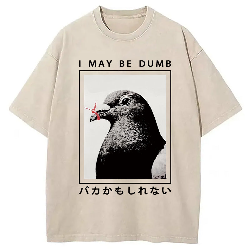 bbb I May Be Dumb Funny Washed T-Shirt