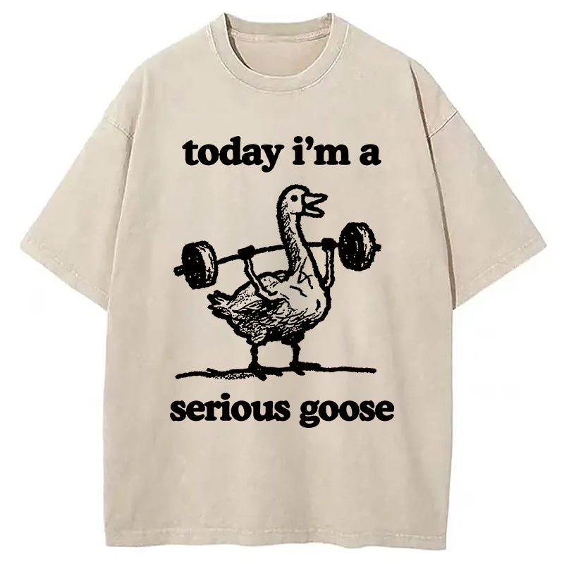 bbb Fitness Goose Washed T-Shirt