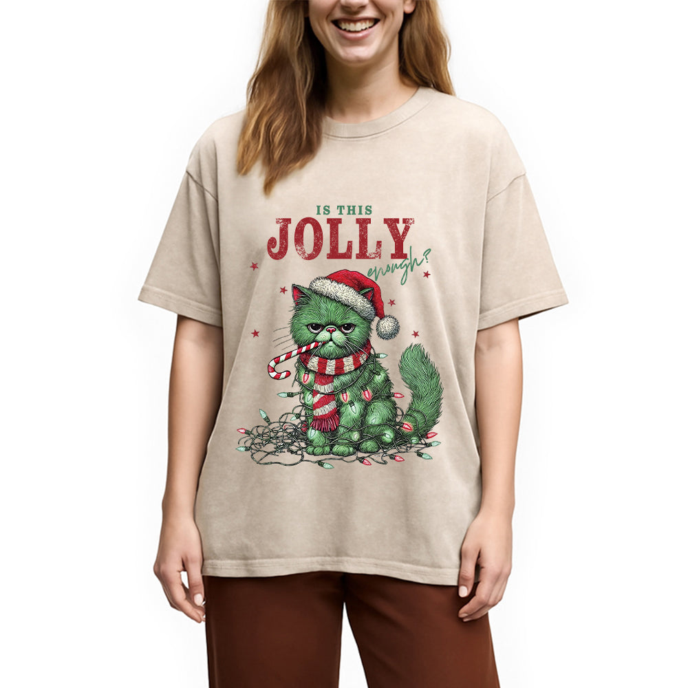 bbb Christmas Gift Washed T-Shirt