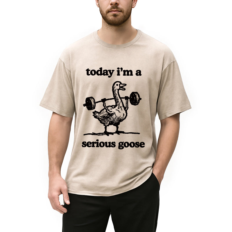 bbb Fitness Goose Washed T-Shirt