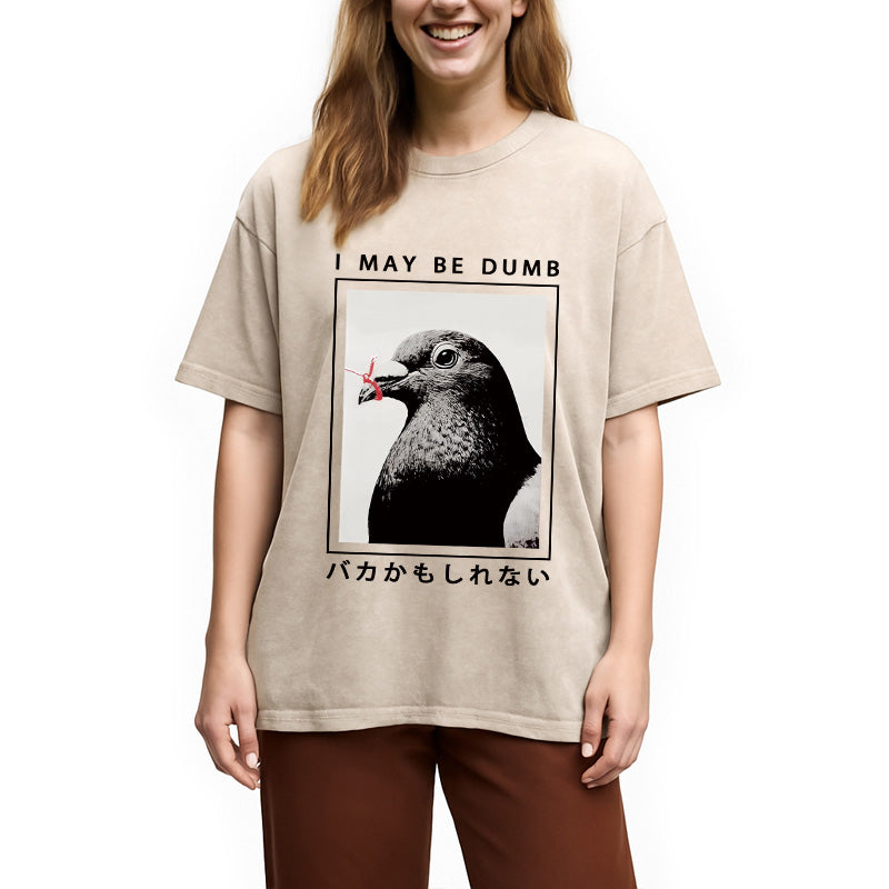 bbb I May Be Dumb Funny Washed T-Shirt