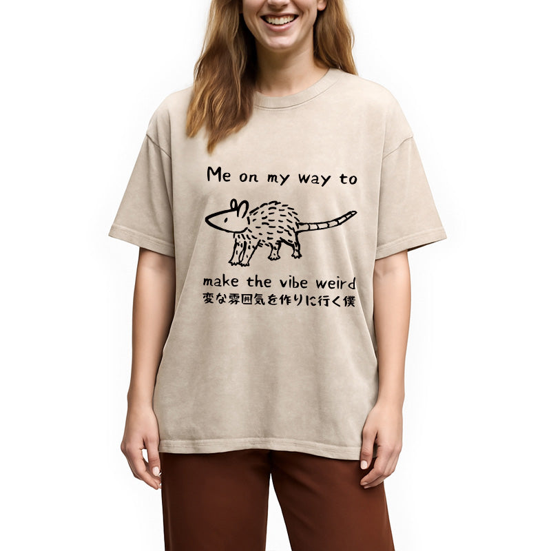 bbb Making The Vibe Weird Washed T-Shirt