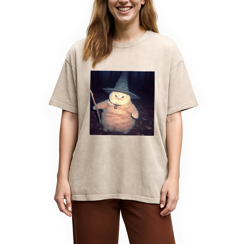 bbb Wizard Cat Funny Halloween Washed T-Shirt