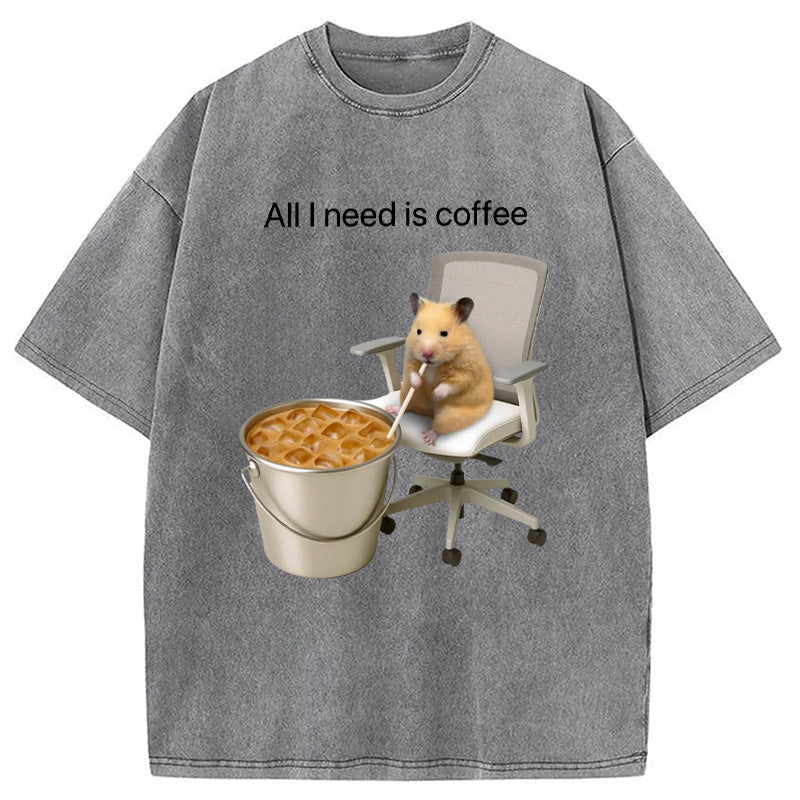 bbb All I Need Is Coffee Meme Washed T-Shirt