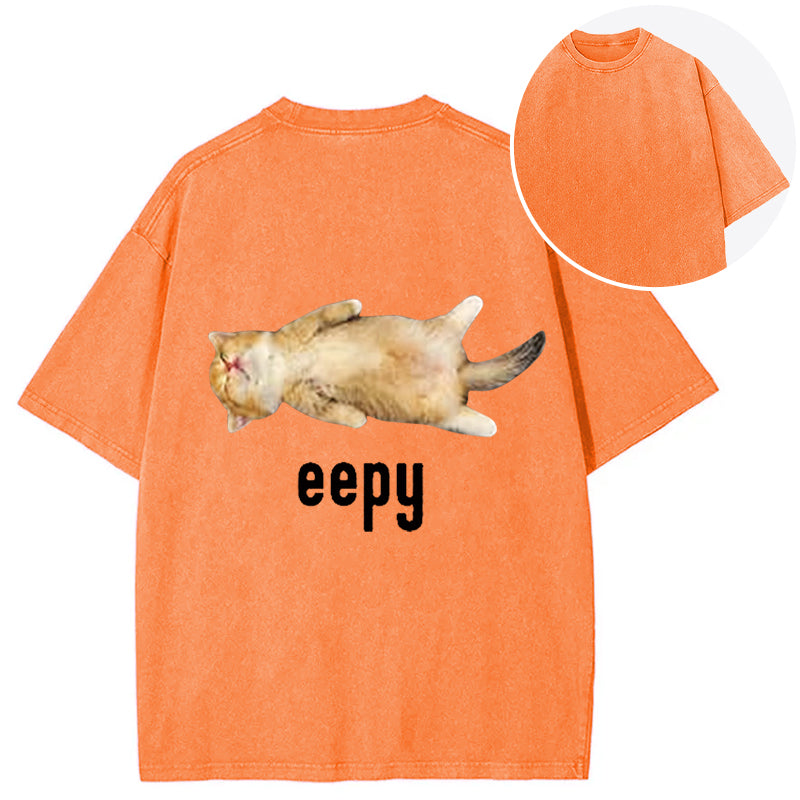 bbb Silly Sleepy Cat Meme Back Washed T-Shirt