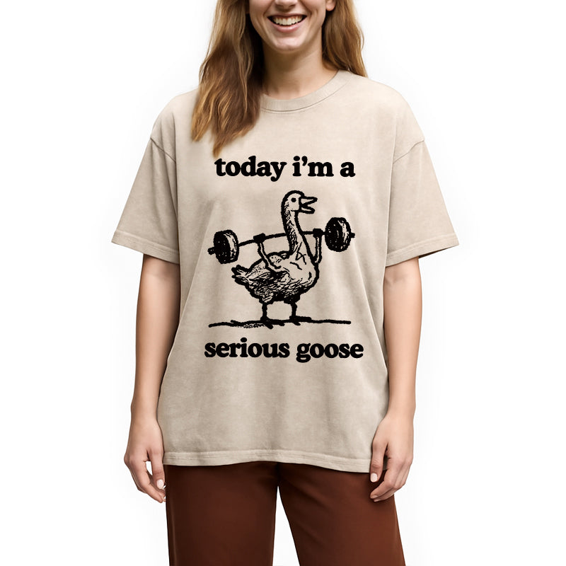 bbb Fitness Goose Washed T-Shirt
