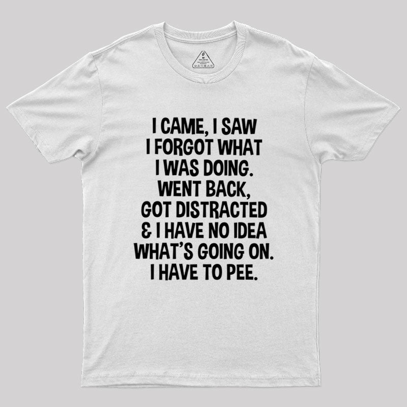 I Came I Saw I Forgot What I Was Doing  T-Shirt