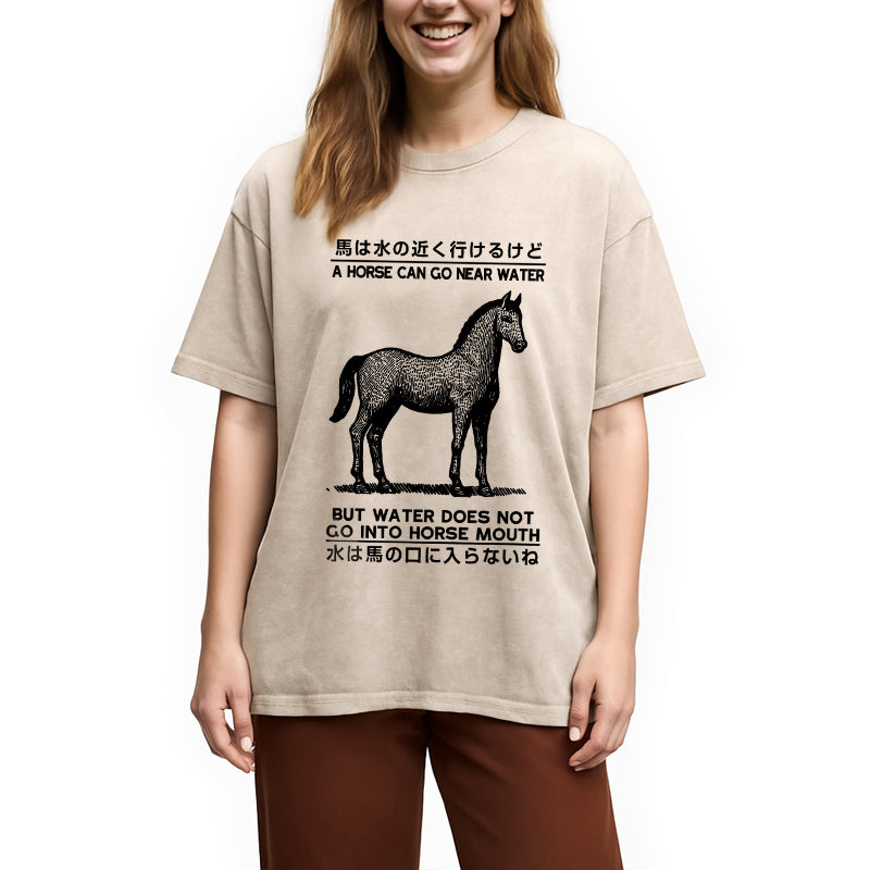 bbb Funny Horse And Water Saying Washed T-Shirt