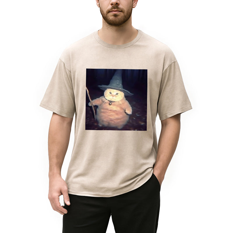 bbb Wizard Cat Funny Halloween Washed T-Shirt