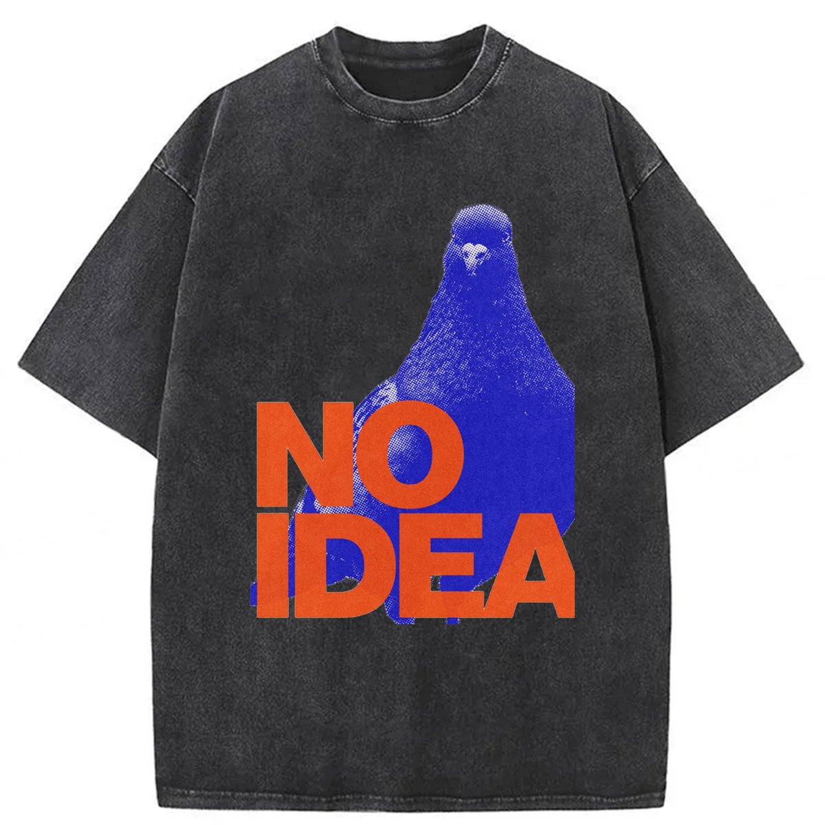 bbb No Idea Crowned Pigeon Washed T-shirt