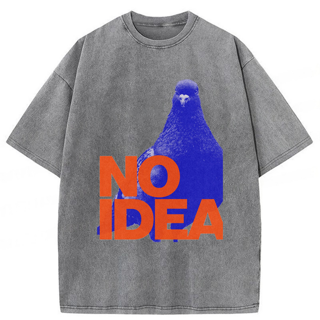 bbb No Idea Crowned Pigeon Washed T-shirt