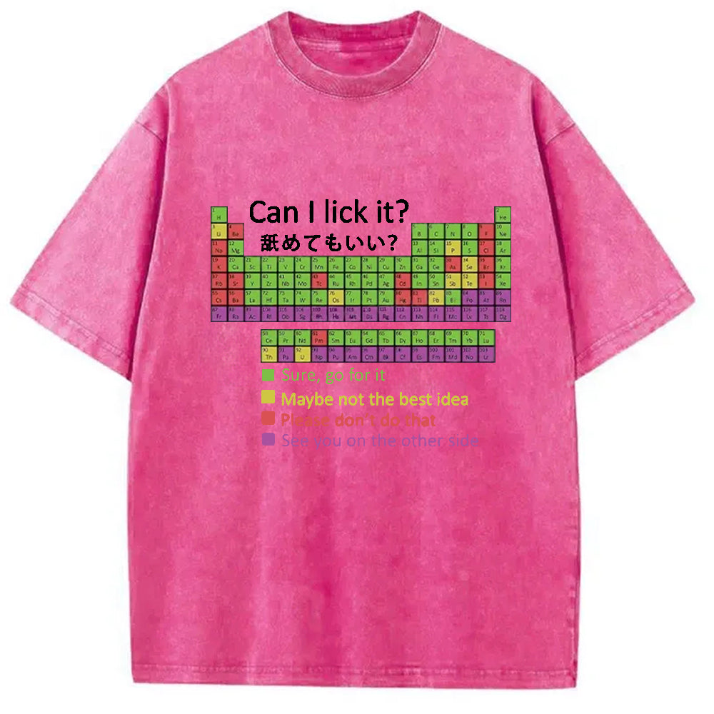 bbb Can I Lick It Washed T-Shirt