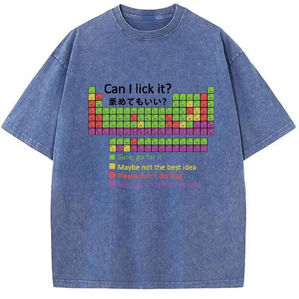 bbb Can I Lick It Washed T-Shirt