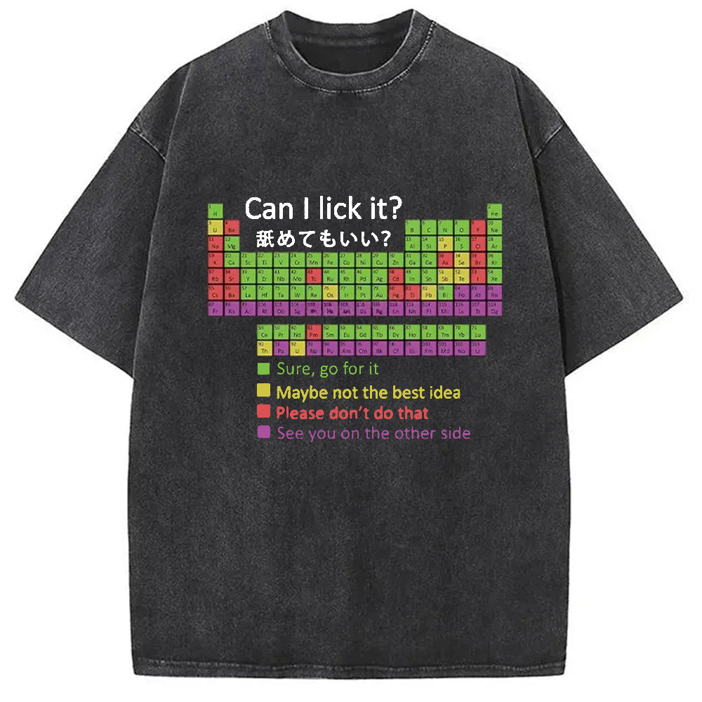bbb Can I Lick It Washed T-Shirt