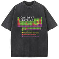 bbb Can I Lick It Washed T-Shirt