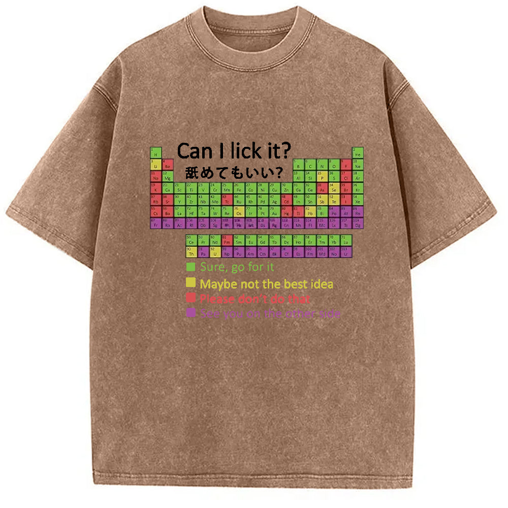 bbb Can I Lick It Washed T-Shirt