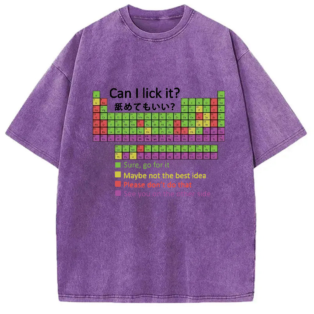 bbb Can I Lick It Washed T-Shirt