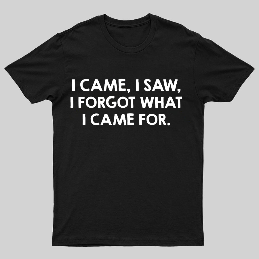 I Came and Saw Funny y T-Shirt