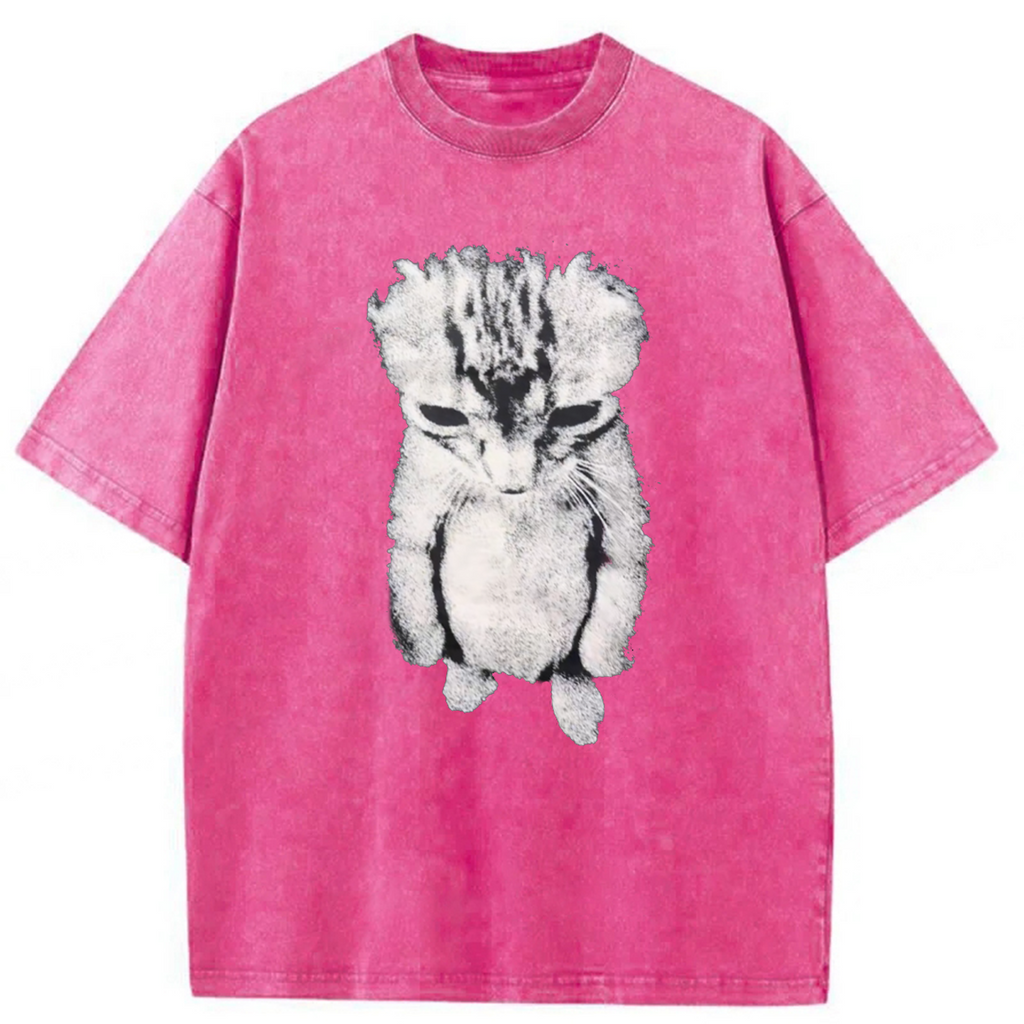bbb Sad Crying Cat Meme Washed T-shirt