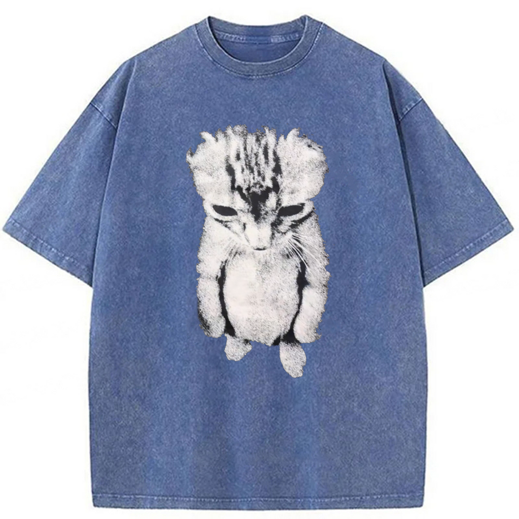 bbb Sad Crying Cat Meme Washed T-shirt