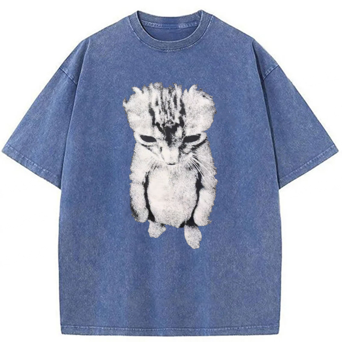 bbb Sad Crying Cat Meme Washed T-shirt