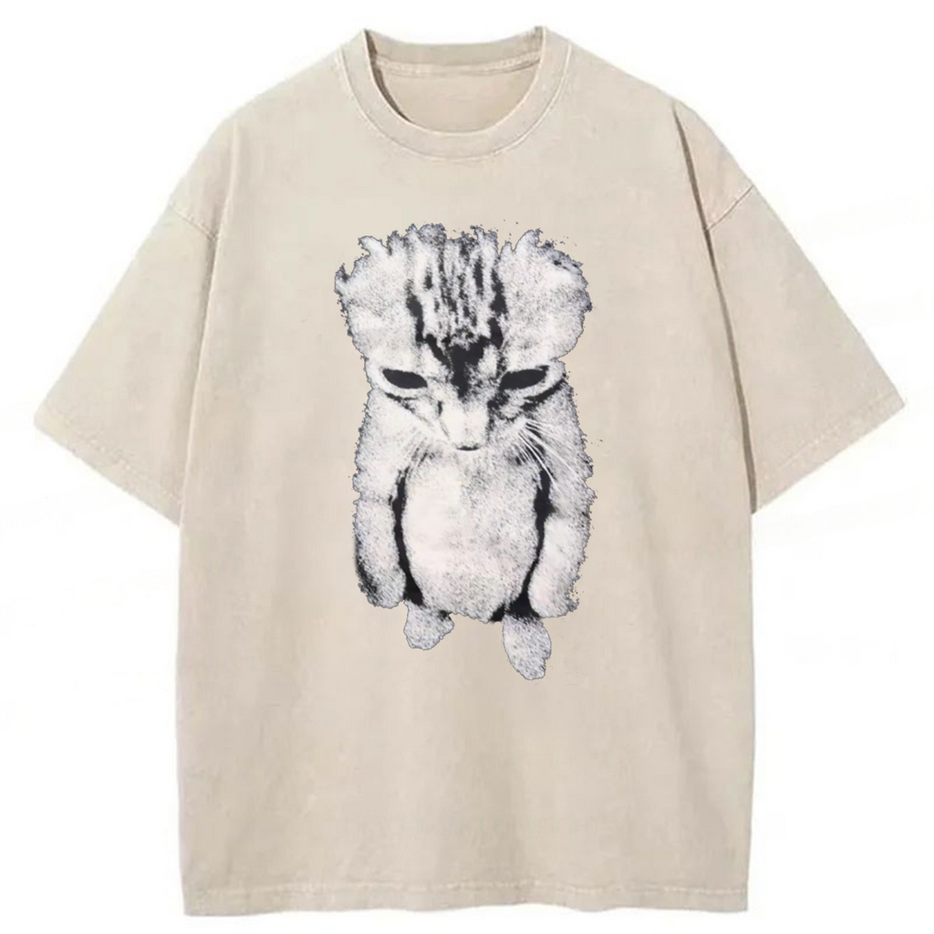 bbb Sad Crying Cat Meme Washed T-shirt