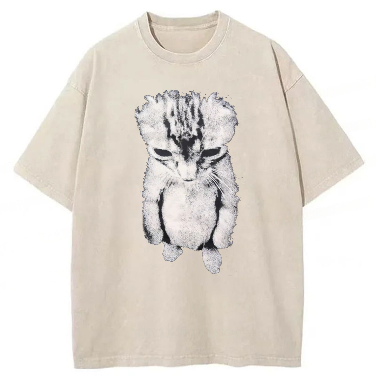 bbb Sad Crying Cat Meme Washed T-shirt