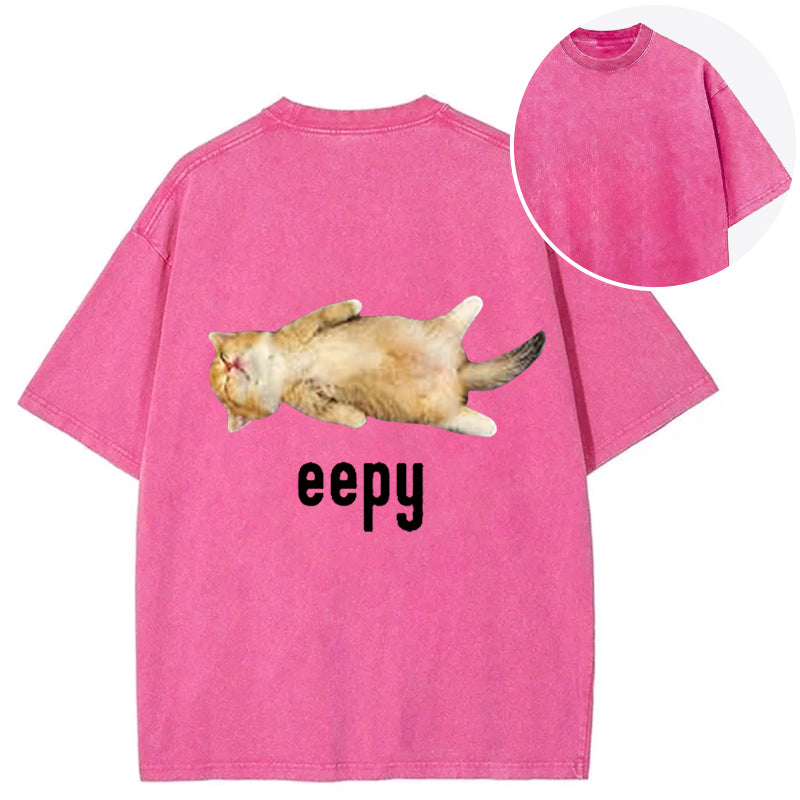 bbb Silly Sleepy Cat Meme Back Washed T-Shirt