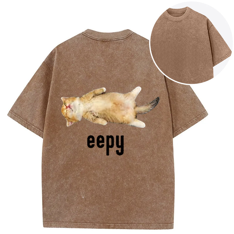 bbb Silly Sleepy Cat Meme Back Washed T-Shirt